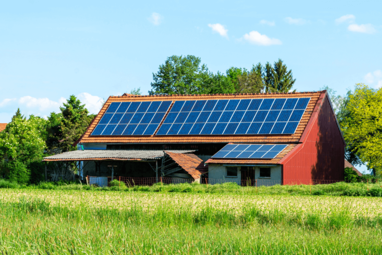 Invest Sustain Energia Solar Painel Solar Placa Solar Como escolher as melhores placas solares para o seu projeto