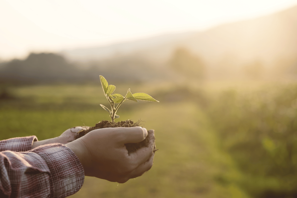 Preservação do meio ambiente Invest Sustain Energia Solar