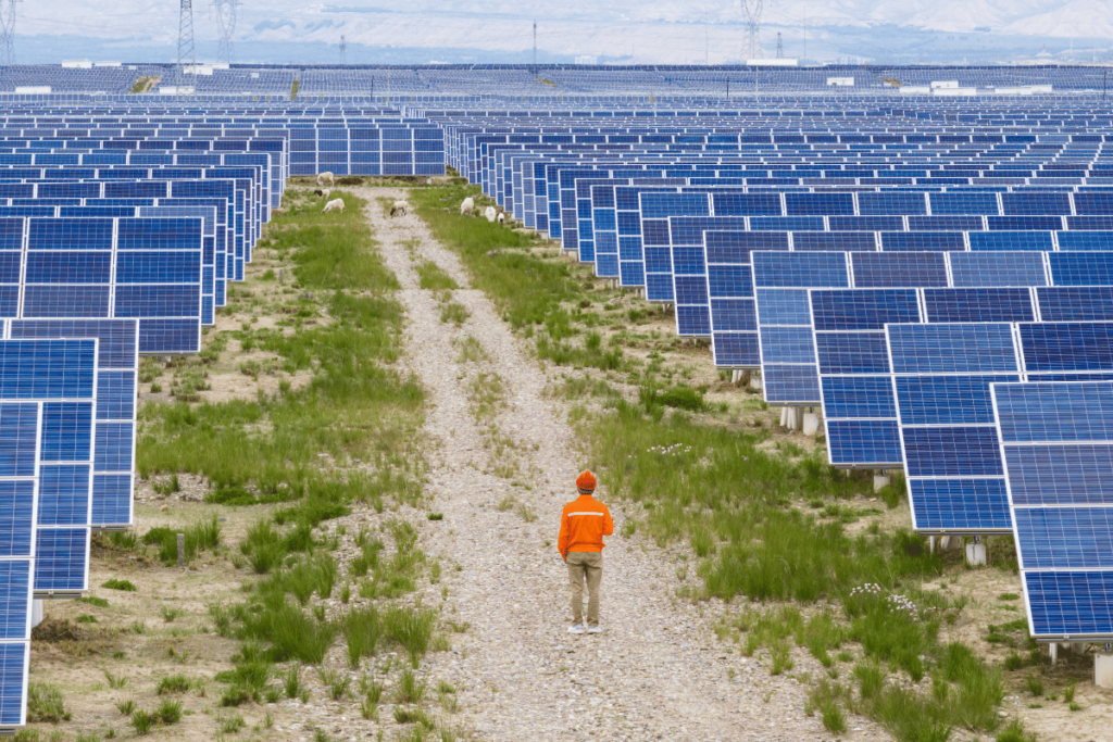 Valor das placas solares conclusão Invest Sustain Energia Solar