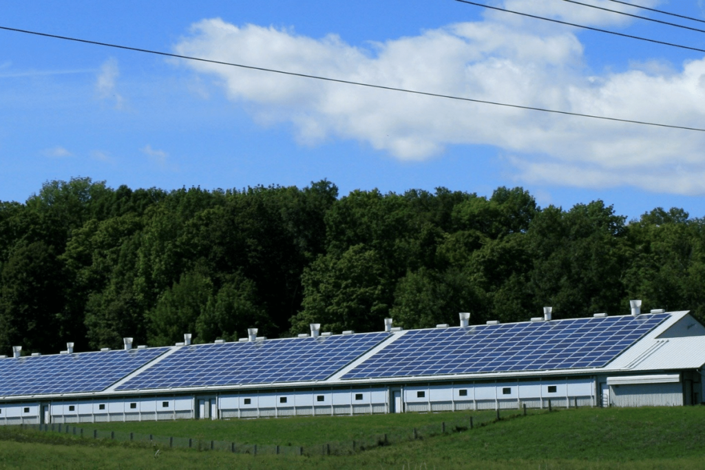 7. A energia solar é renovável: o quão sustentável ela é?