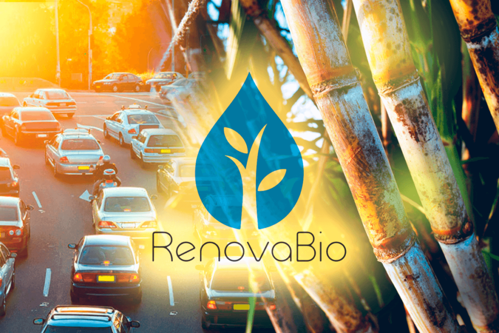 RenovaBio