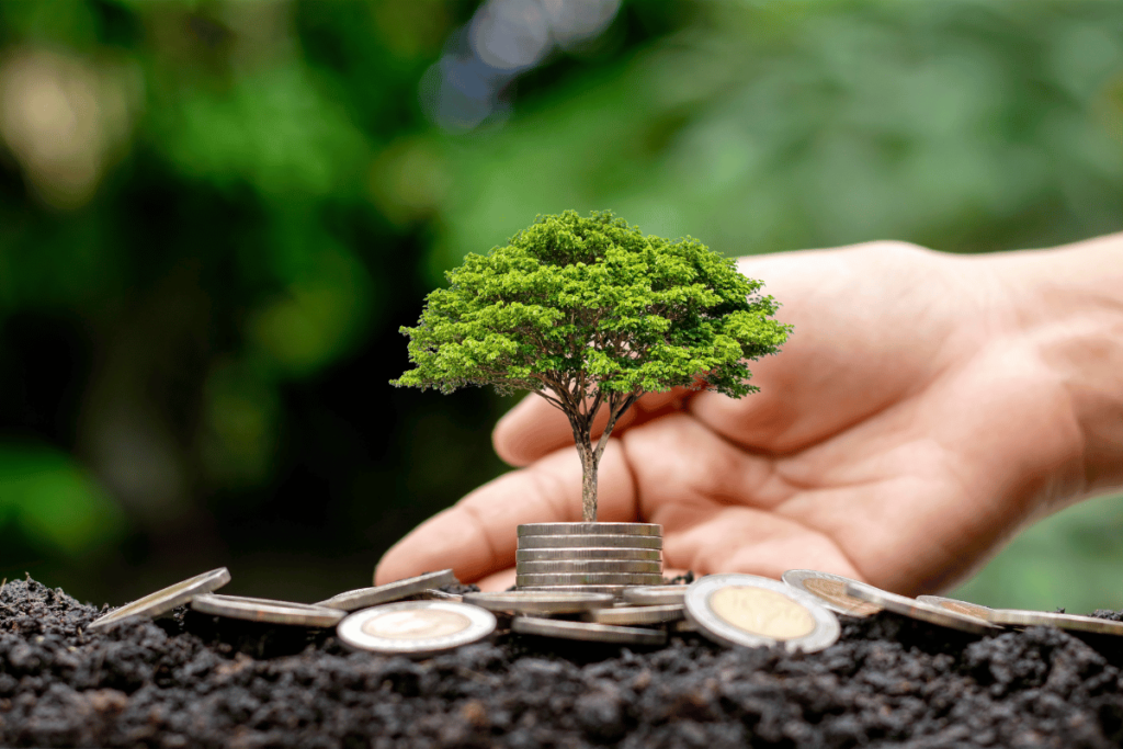 Sustentabilidade e Paraíba Invest Sustain 