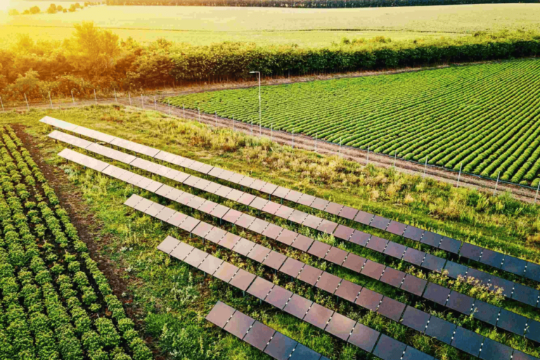 Kit de Energia Solar Rural Tudo o que Você Precisa Saber Invest Sustain Energia Solar