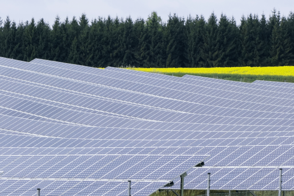 O impacto ambiental da nova usina solar Invest Sustain Energia Solar