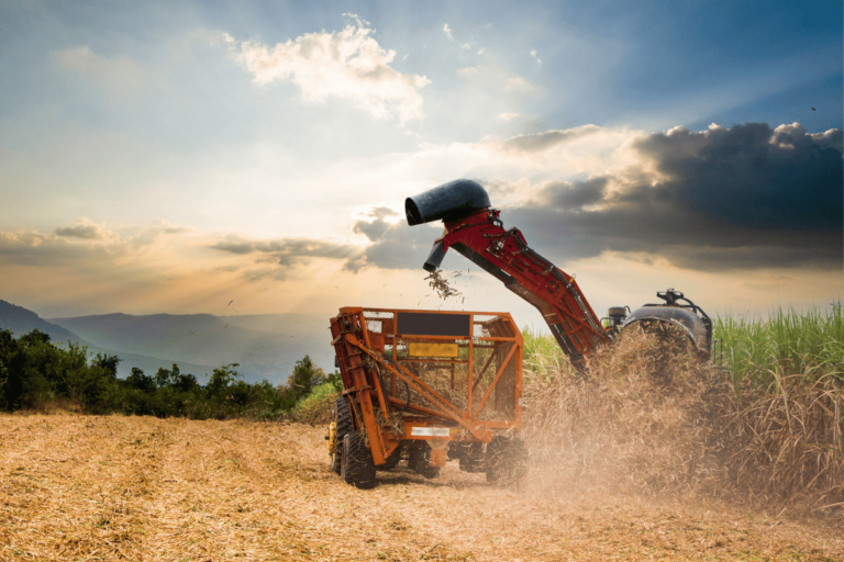 Agro brasileiro adota energia solar e investe em baterias Invest Sustain Energia Solar