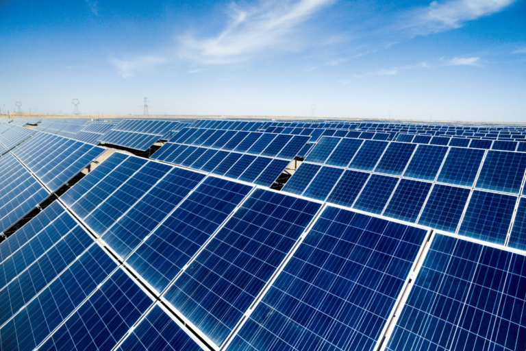 As 10 marcas de painel solar mais vendidas em 2024 Invest Sustain Energia Solar