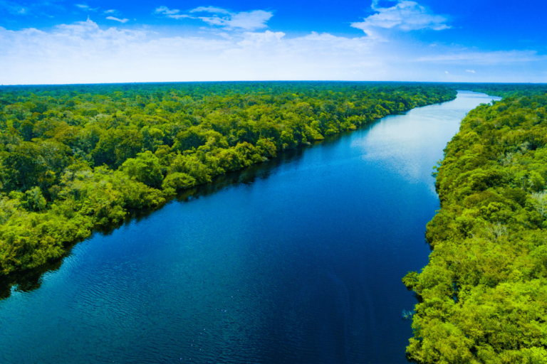 Helexia Brasil inaugura parques solares de 13 MWp no Amazonas Invest Sustain Energia Solar