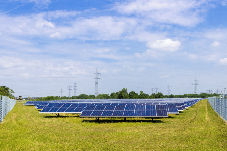 Robotização em parques solares é inevitável, diz gestor da EDP Invest Sustain Energia Solar