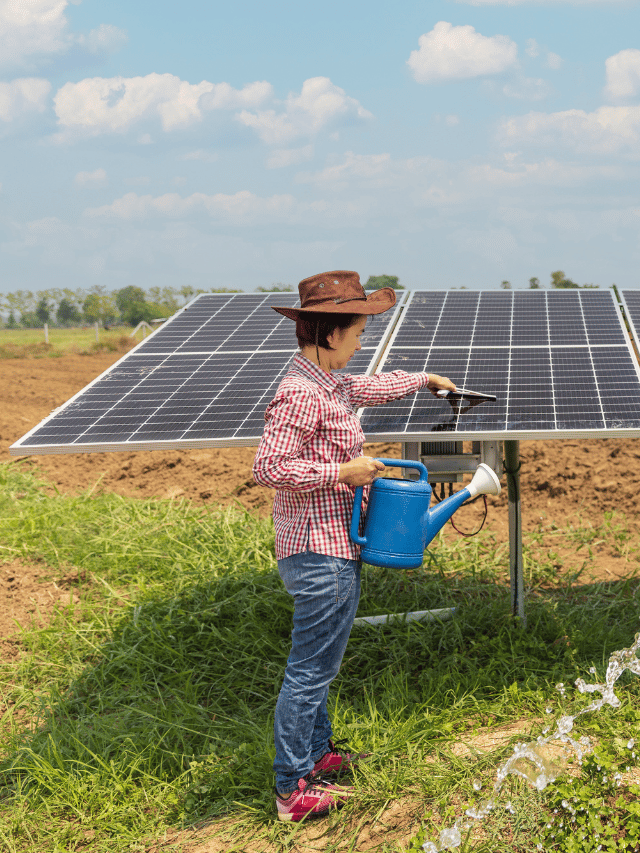 Os erros mais comuns ao montar um sistema de energia solar off-grid Invest Sustain Energia Solar Capa Web Stories