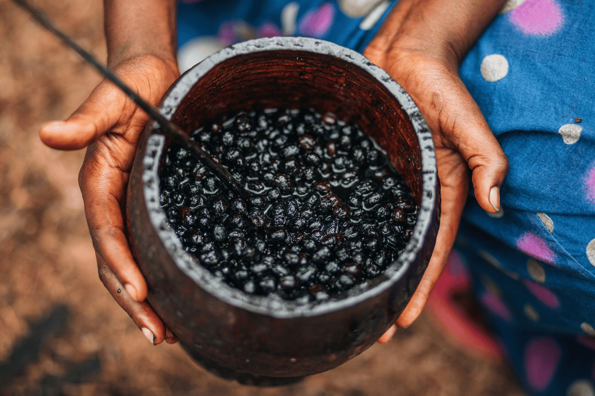 Empresa transforma açaí em energia limpa no Norte do Brasil Invest Sustain Energia Solar